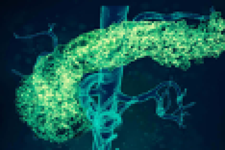 Trastornos cardiometabólicos