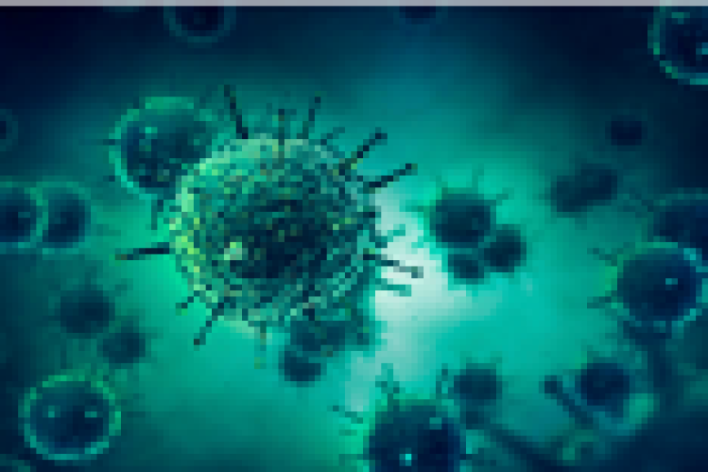 Enfermedades infecciosas